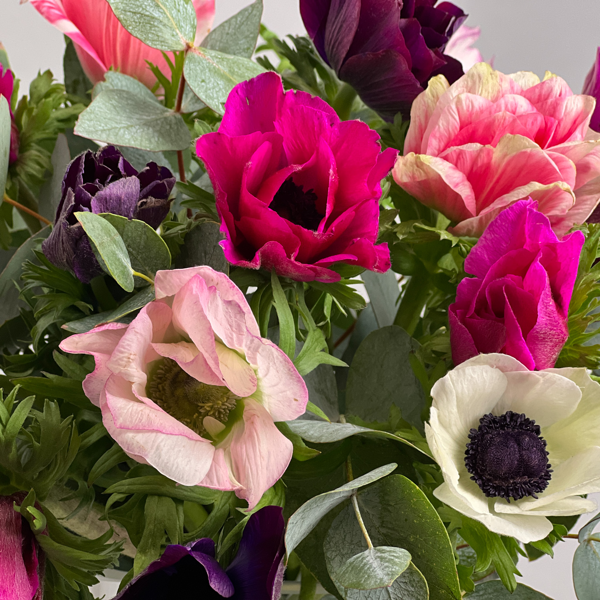 Bouquet of anemone - Image 2