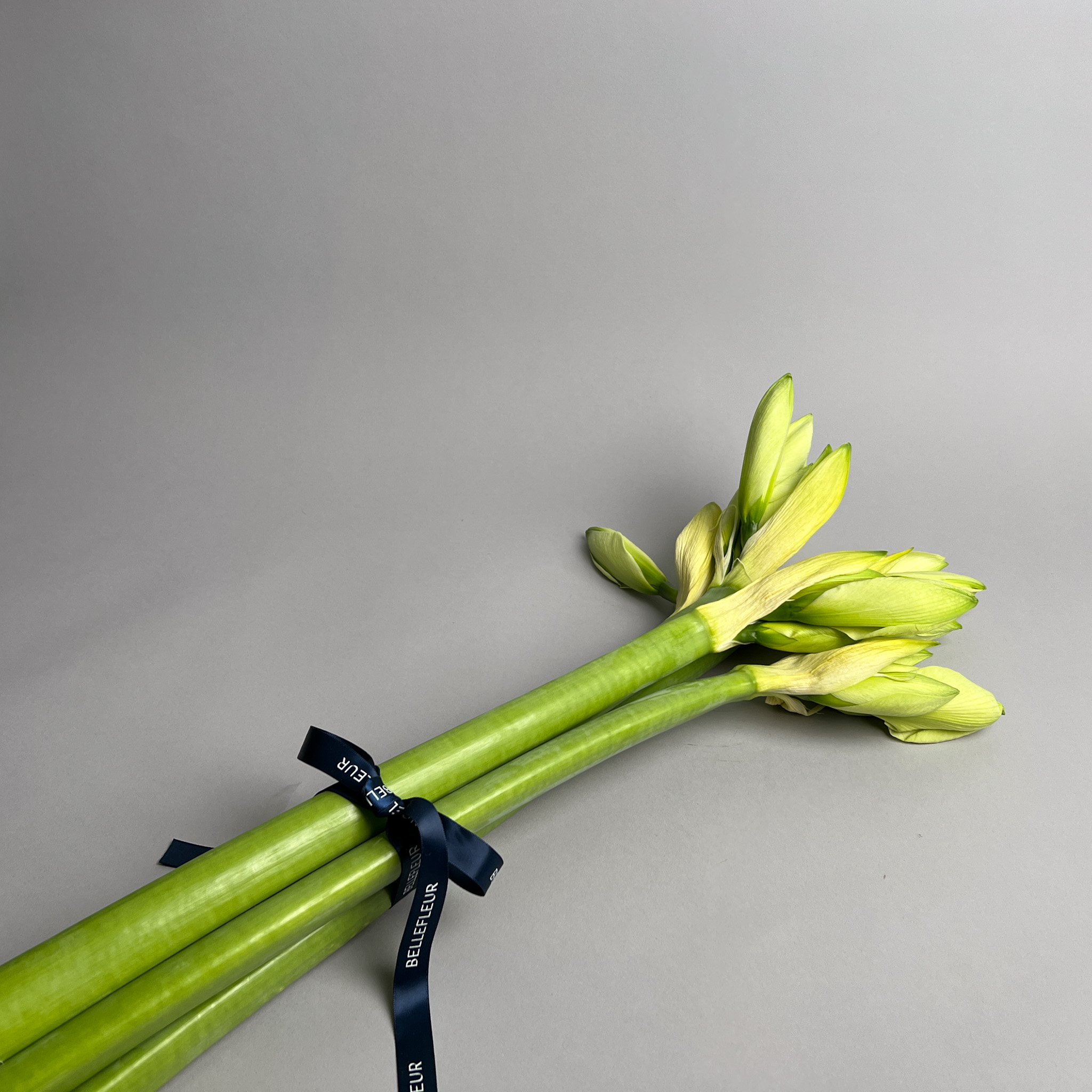 Strauss Amaryllis weiss