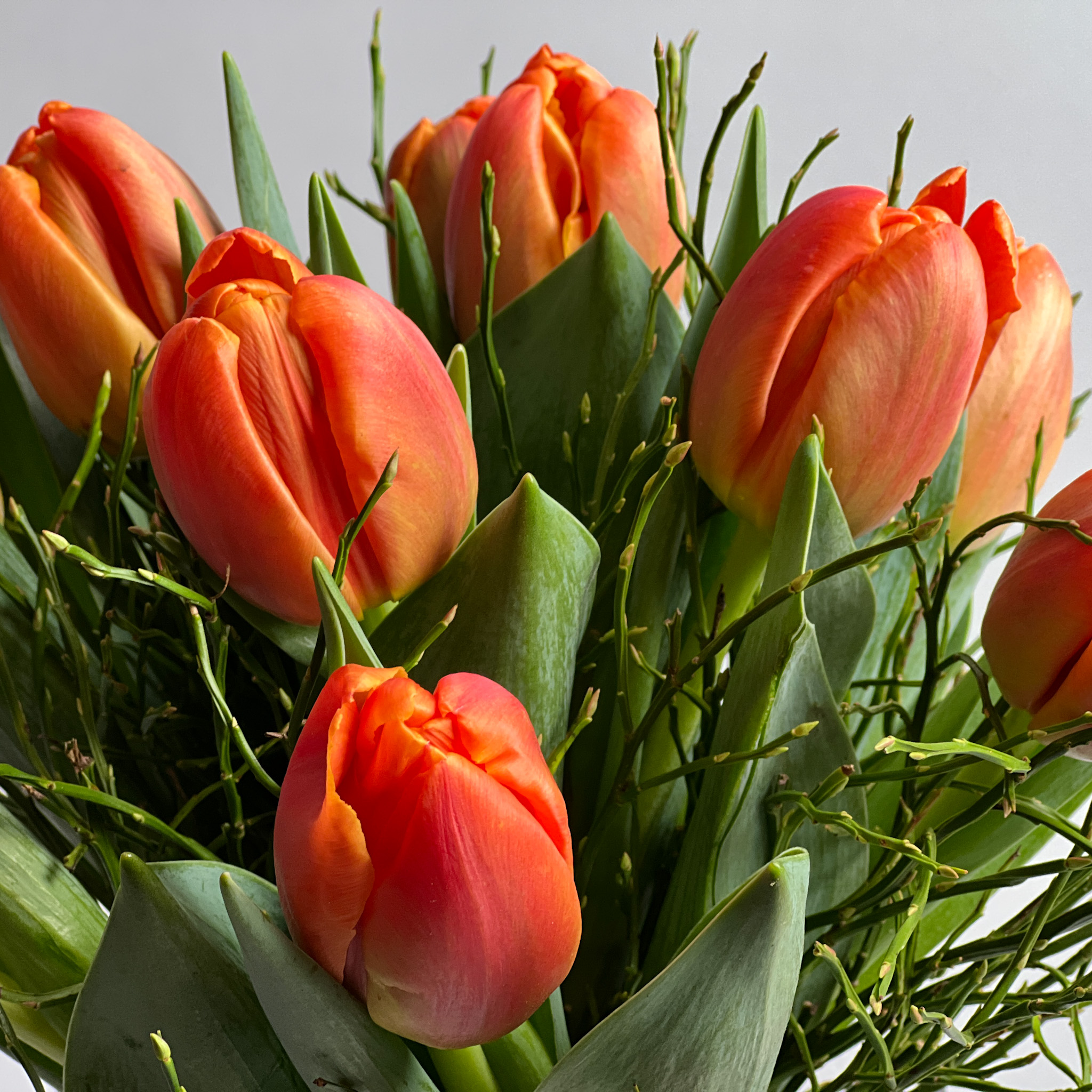 Bouquet of tulips orange - Image 2