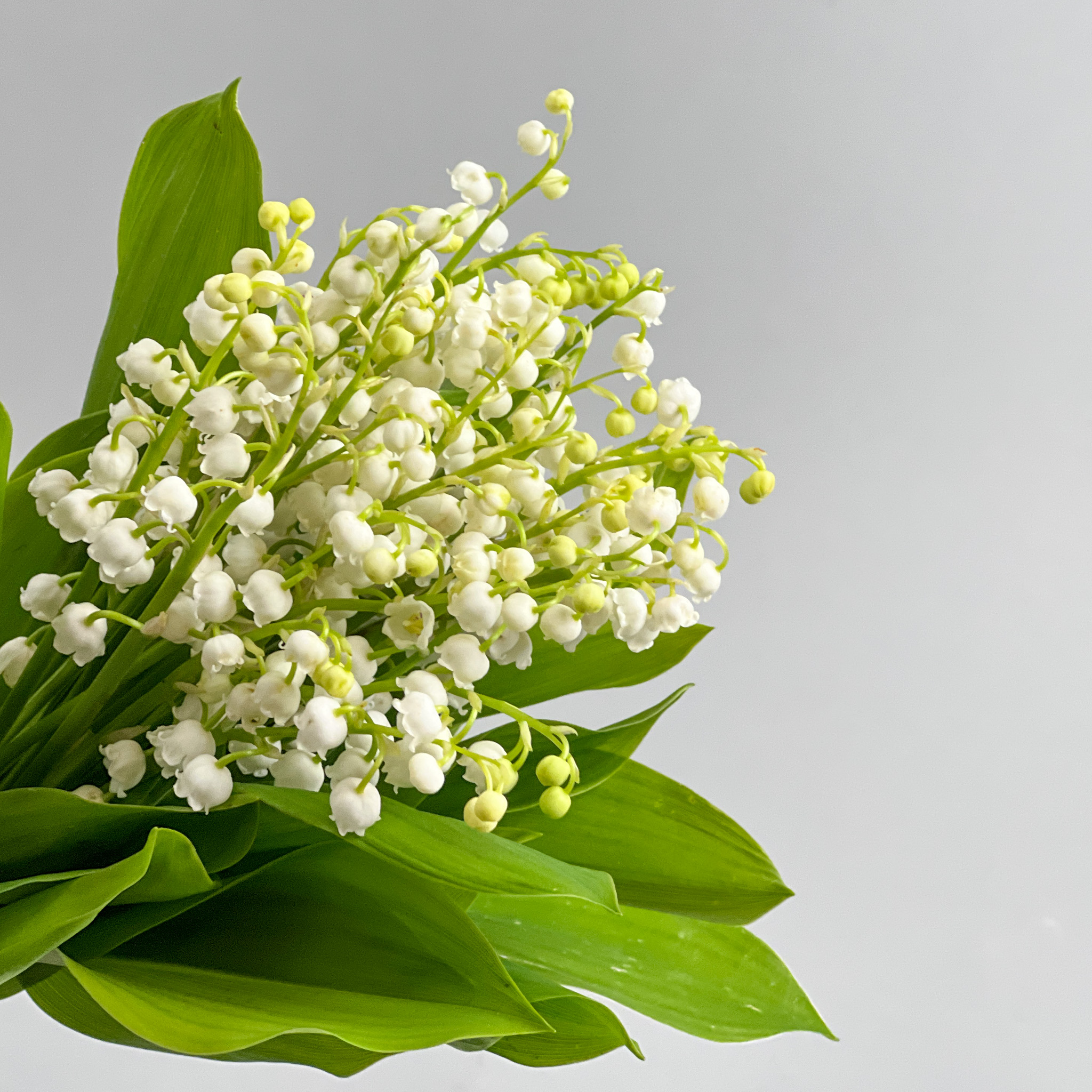 Bouquet with lily of the valley - Image 2