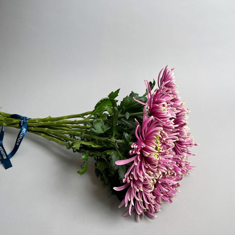 Strauss Dekochrysanthemen