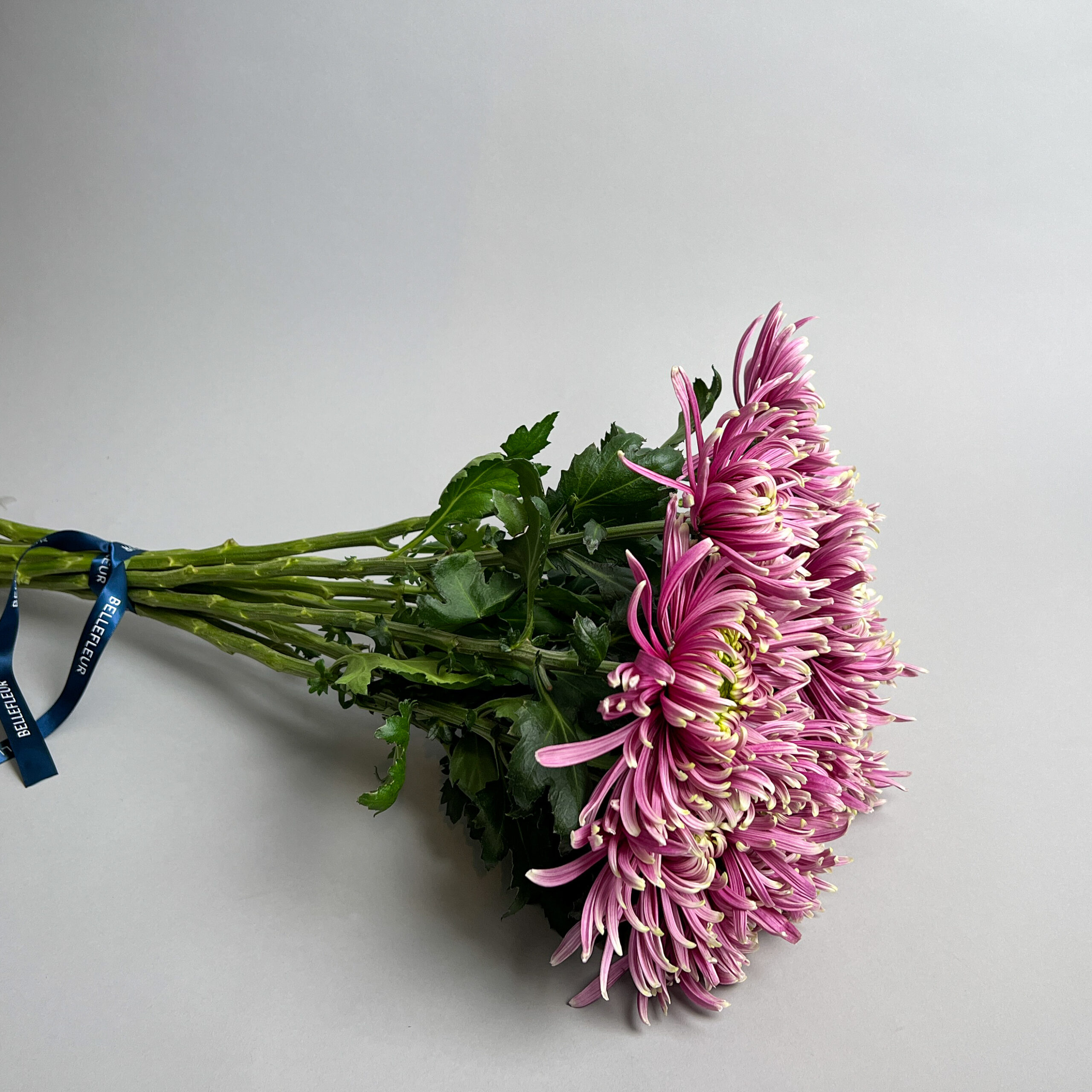 Strauss Dekochrysanthemen