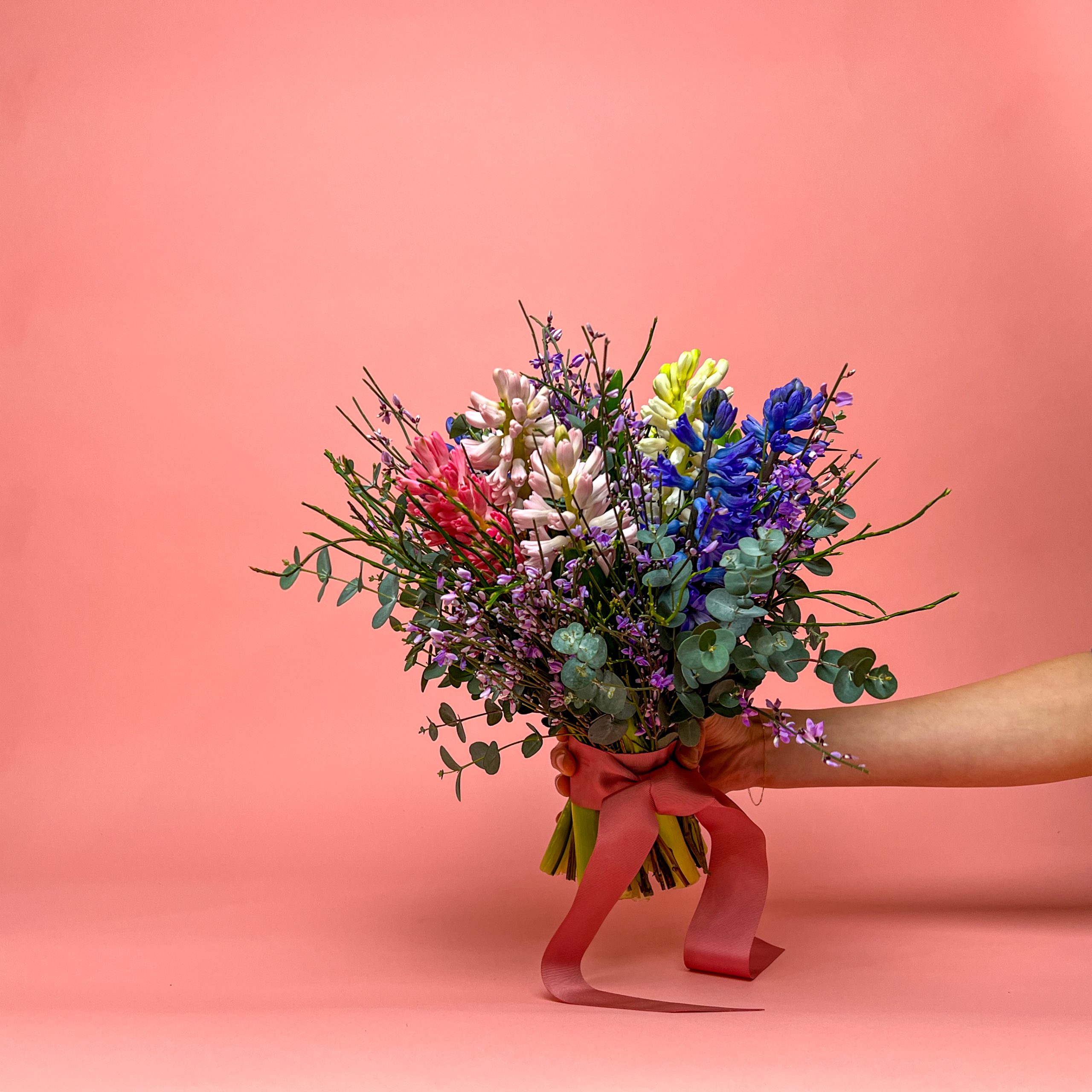 Hyazinthe mit Ginster