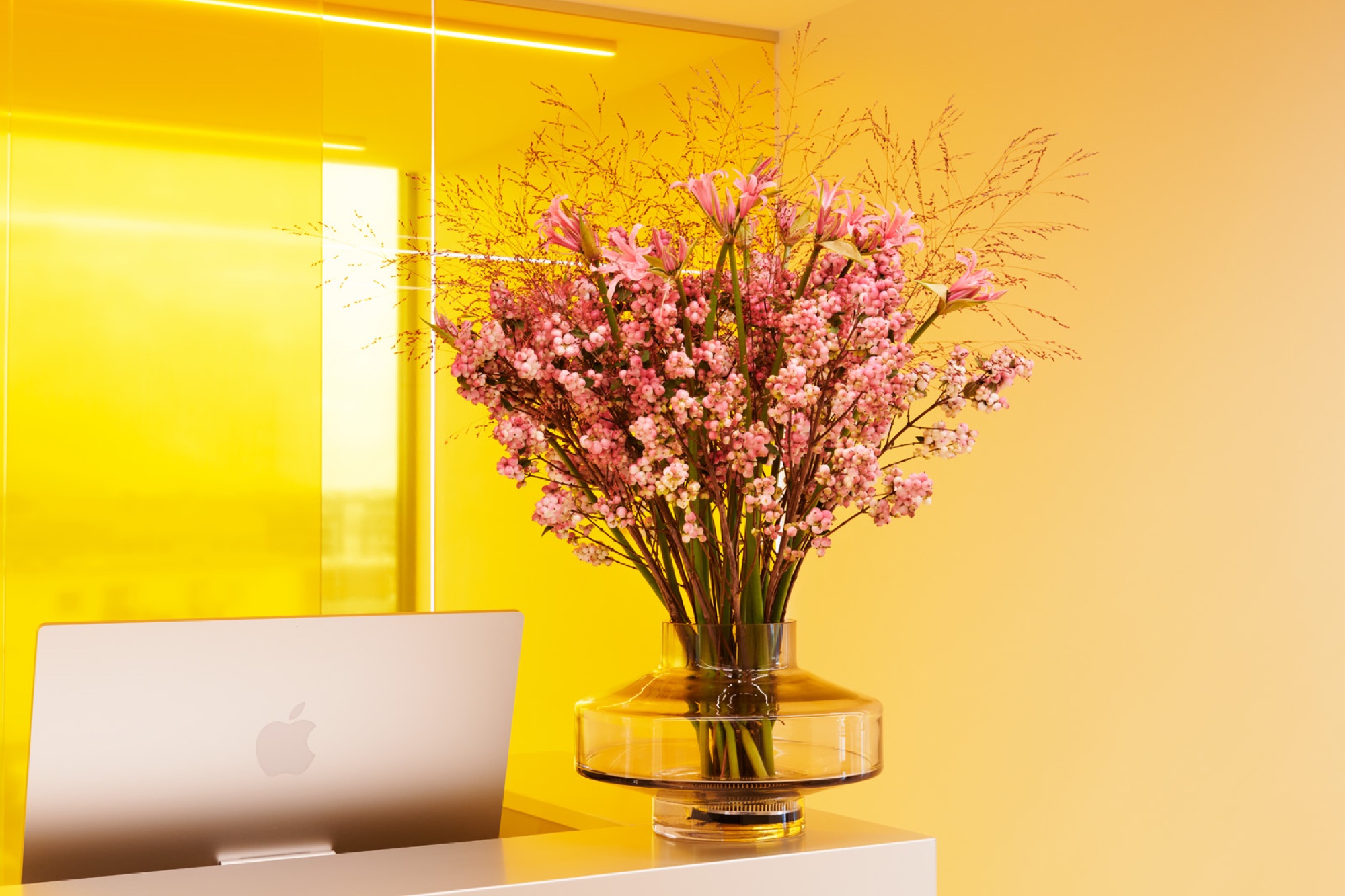 Blumenabo fürs Büro